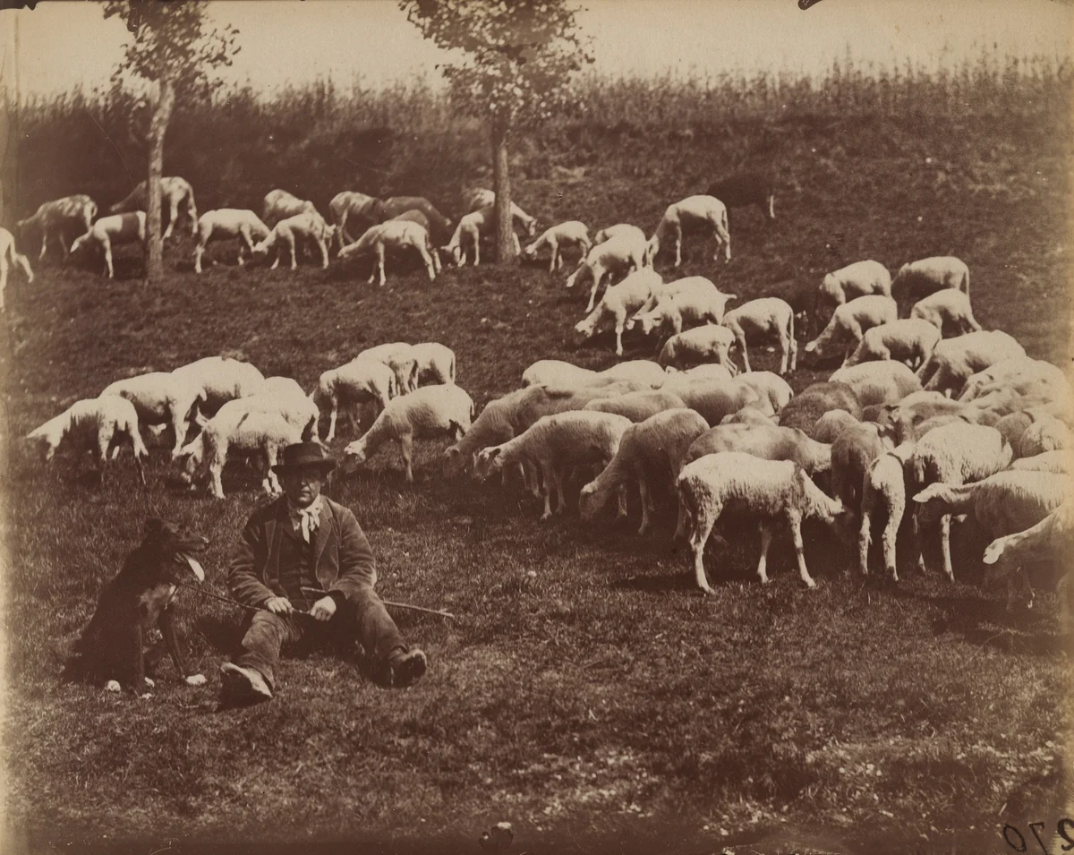 Untitled by Eugène Atget, photograph, 1900