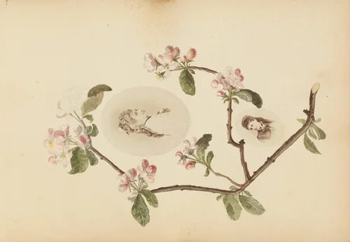 The Madame B Album by Marie-Blanche Hennelle Fournier, photograph, 1870-1879