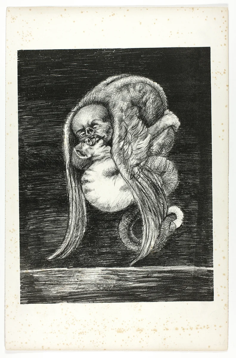 Untitled, plate from Je regardais et je vis... by Odilon Redon, print, 1896