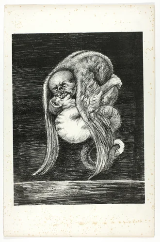 Untitled, plate from Je regardais et je vis... by Odilon Redon, print, 1896