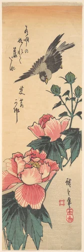 Sparrow and Hibiscus by Utagawa Hiroshige (歌川広重), print, 1824-1844