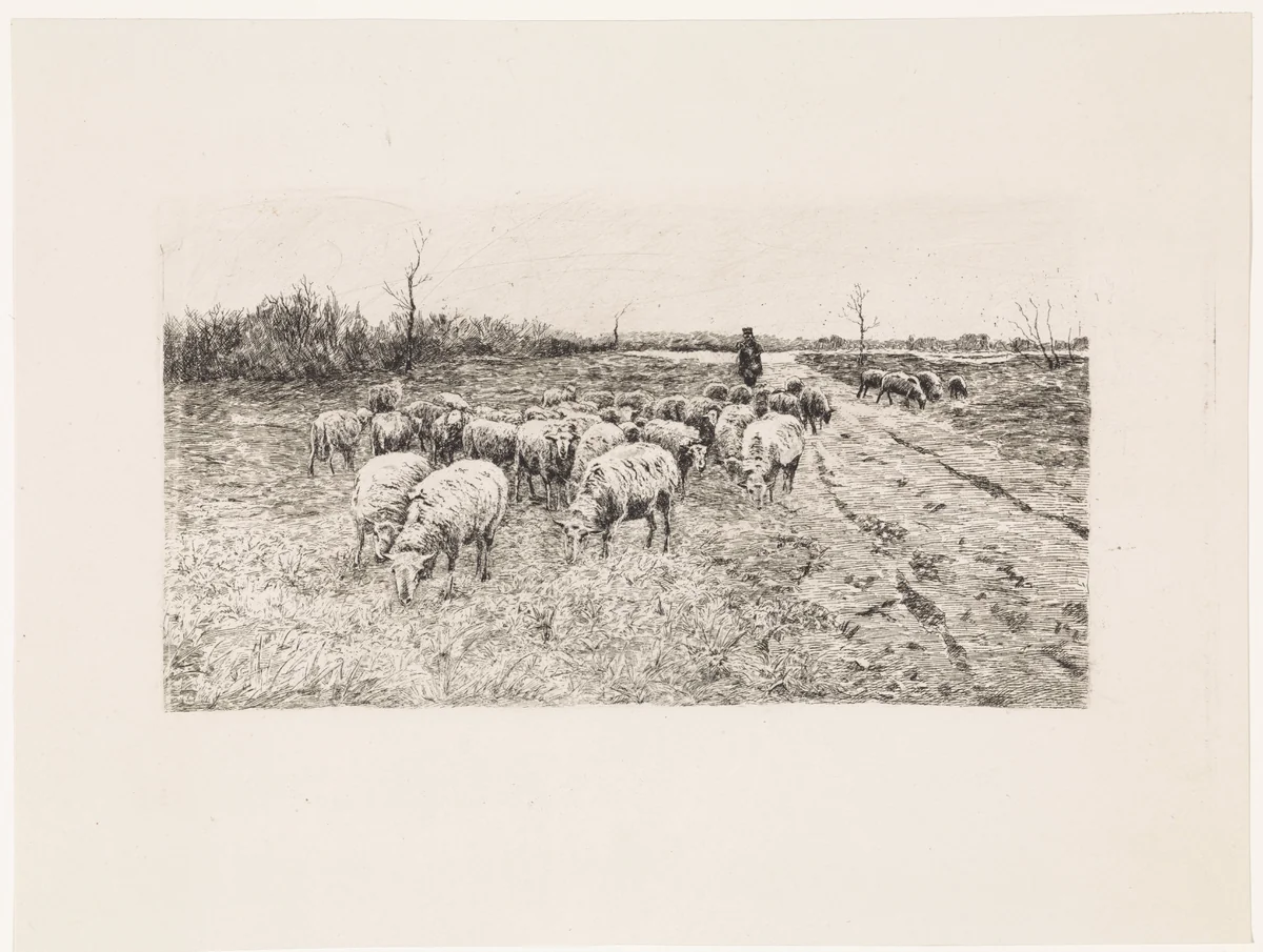 Herder met kudde schapen by Elias Stark, print, 1889