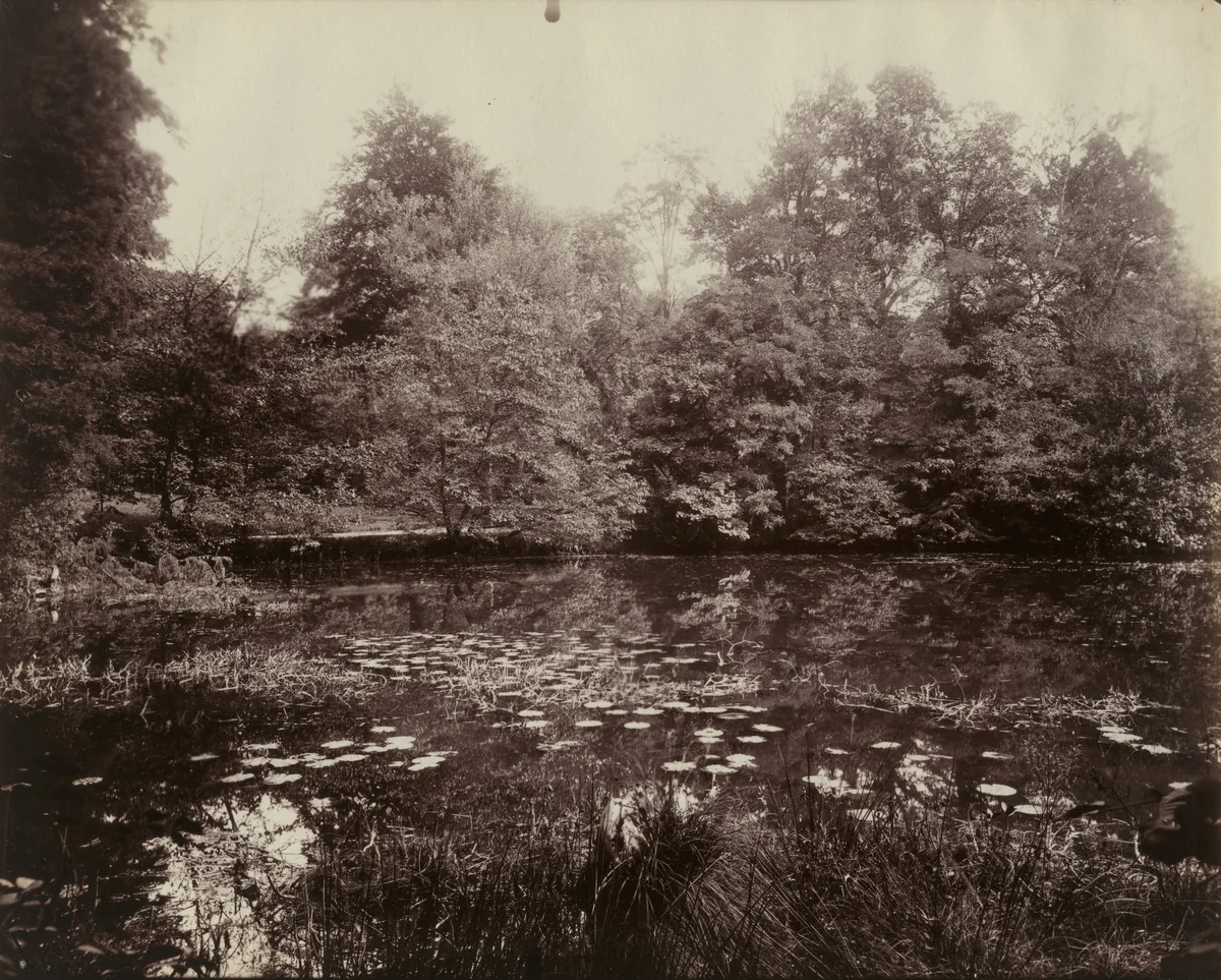 Trianon -- Étang by Eugène Atget, photograph, 1910