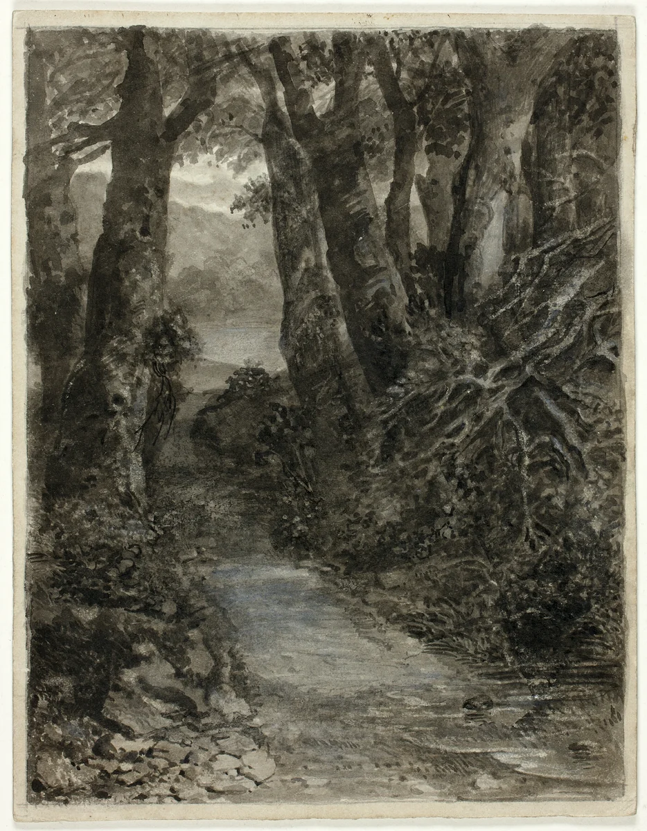 A Woodland Study by Samuel Palmer, print, 1851-1861