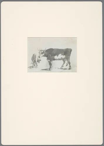 Twee koeien in een landschap by David de Sandoz-Rollin, drawing, 1750-1809