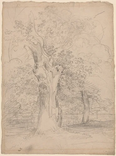An Ancient Tree with Figures in a Landscape by Friedrich Salathé, drawing, 1835