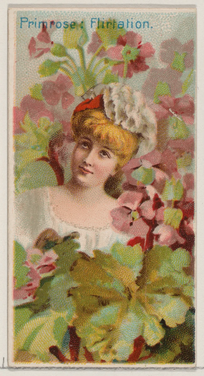 Primrose: Flirtation, from the series Floral Beauties and Language of Flowers (N75) for Duke brand cigarettes by American Tobacco Company, print, 1892