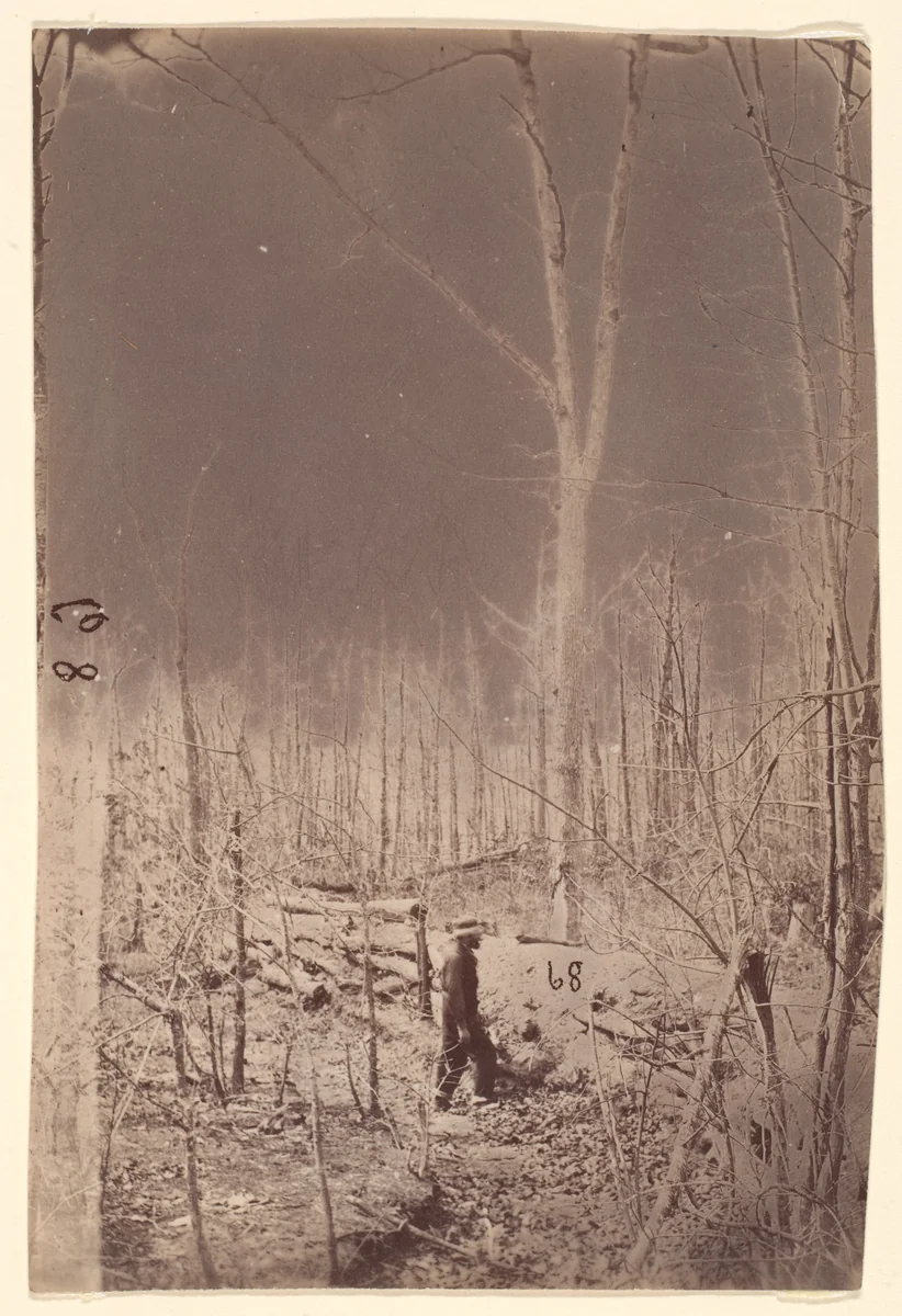[The Wilderness Battlefield] by G. O. Brown, photograph, 1866