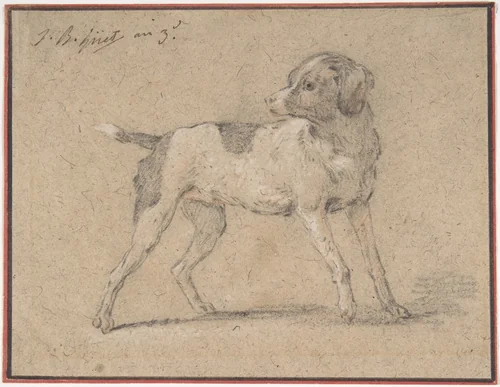 Black and White Dog, Head Turned to the Left by Jean Baptiste Huet, drawing, 1794-1795