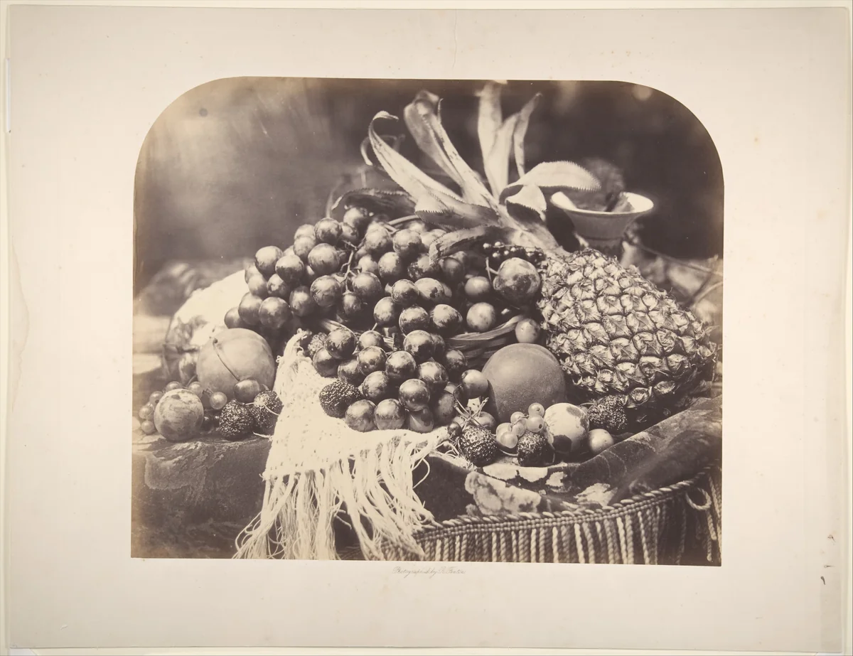 [Still Life with Fruit] by Roger Fenton, photograph, 1860