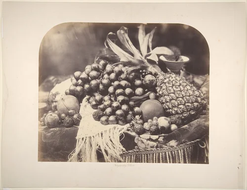[Still Life with Fruit] by Roger Fenton, photograph, 1860