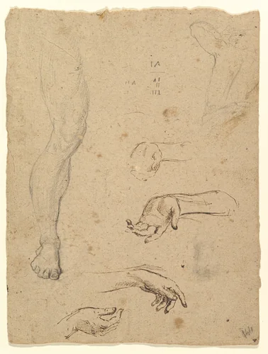 Studies of Legs, Hands, and Torso by anonymous, drawing, 1700-1750