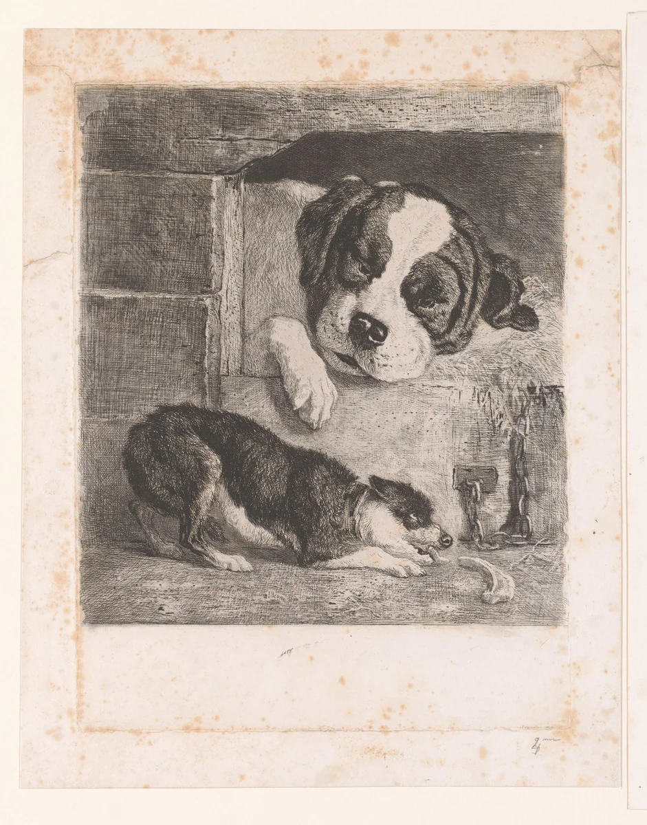 Twee honden by Charles Verlat, print, 1834-1890