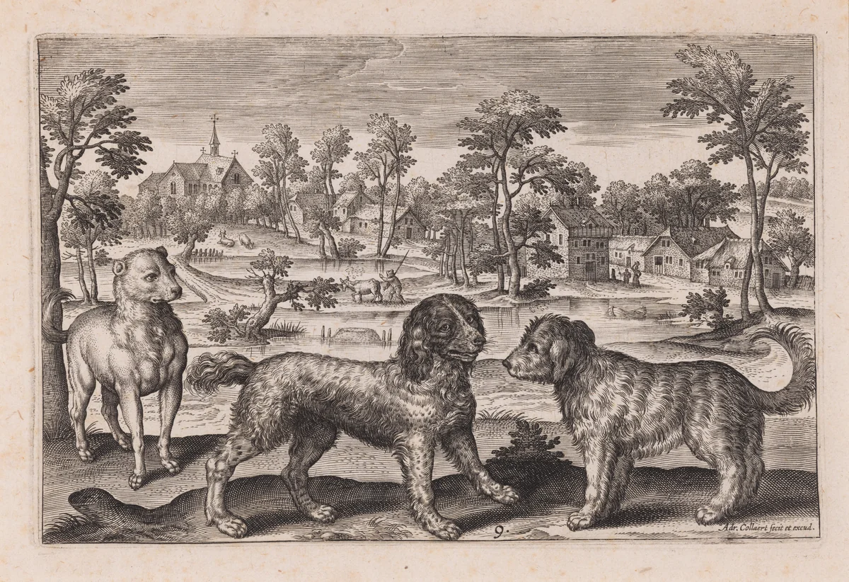 Three Dogs, plate 9 from a set of Four Legged Animals by Adriaen Collaert, print, 1592-1602