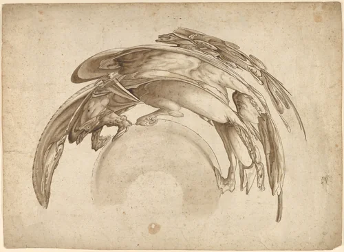 Soldier on Horseback in Catoptric Anamorphosis (after Hendrick Goltzius) by Jean François Niceron, drawing, 1620-1650