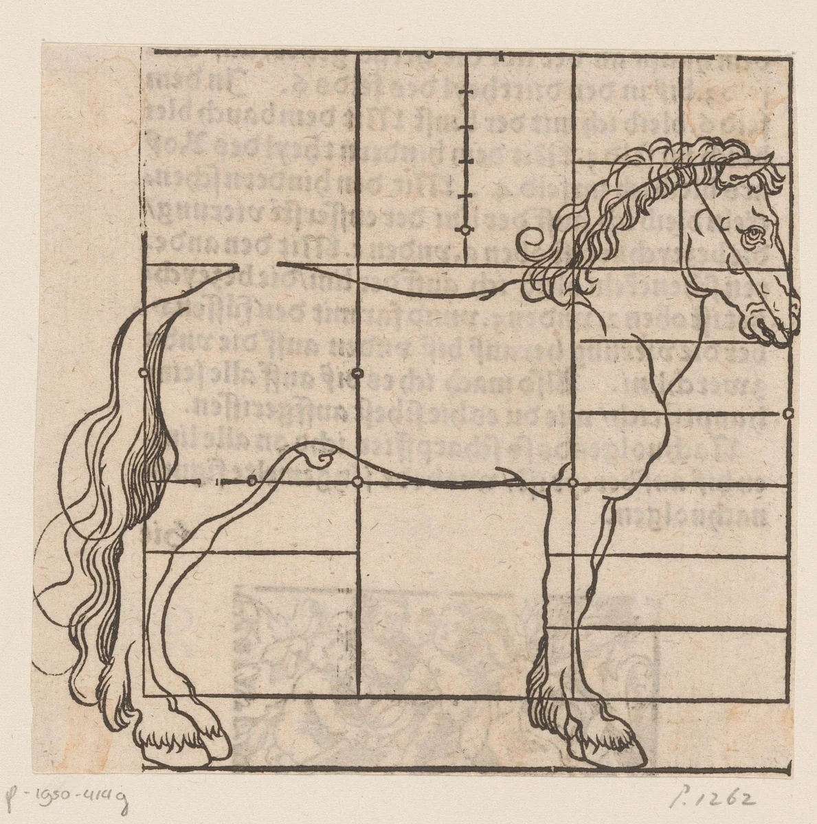 Model voor een paard met raster by anonymous, print, 1565