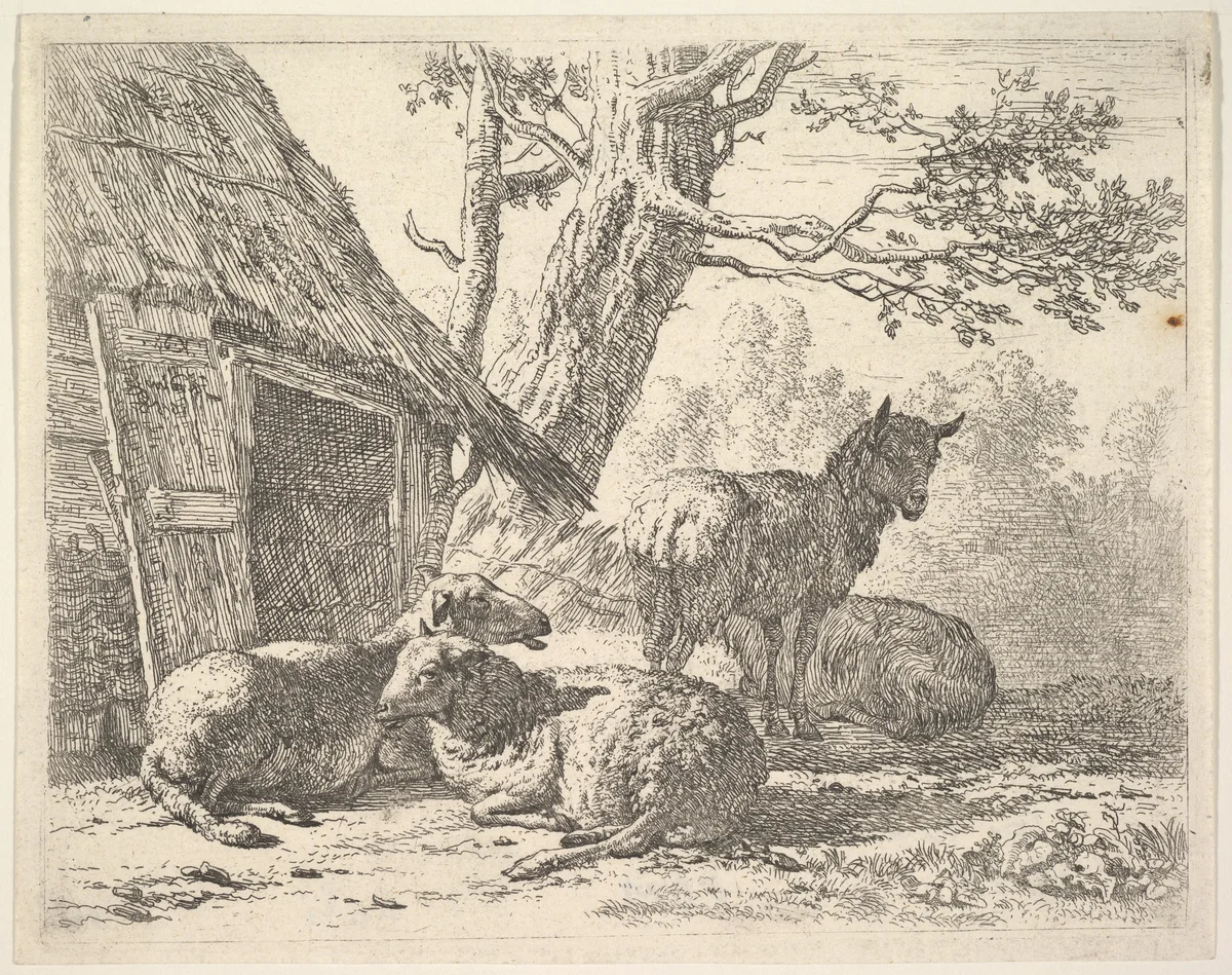 Four sheep, one sheep stands among three others lying on the ground next to a shed with thatched roof and open door by Karel Dujardin, print, 1658