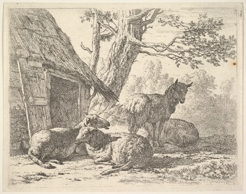 Four sheep, one sheep stands among three others lying on the ground next to a shed with thatched roof and open door by Karel Dujardin, print, 1658