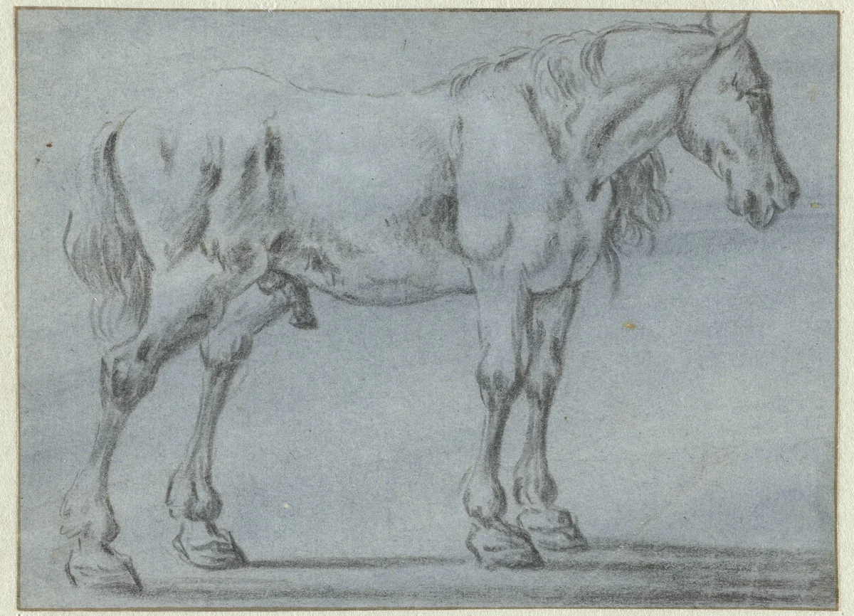 Staand paard, naar rechts by Dirk Stoop, drawing, 1628-1681