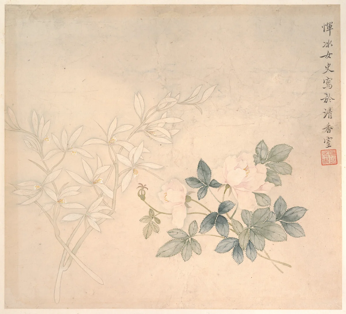Flower Study by Yun Bing, painting, 1667-1699