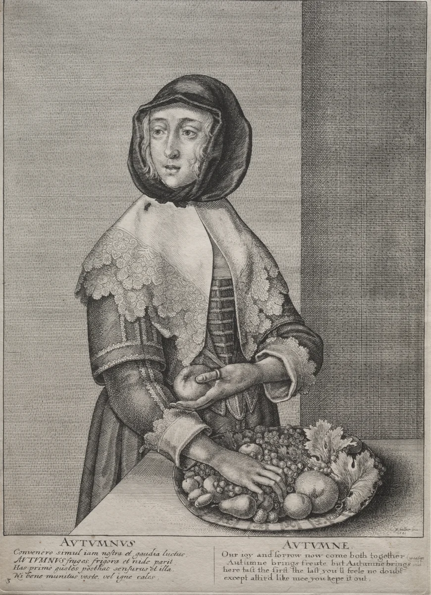 The Four Seasons: Autumn by Wenceslaus Hollar, print, 1641