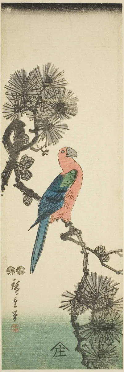 Macaw on pine branch by Utagawa Hiroshige (歌川広重), print, 1842-1857