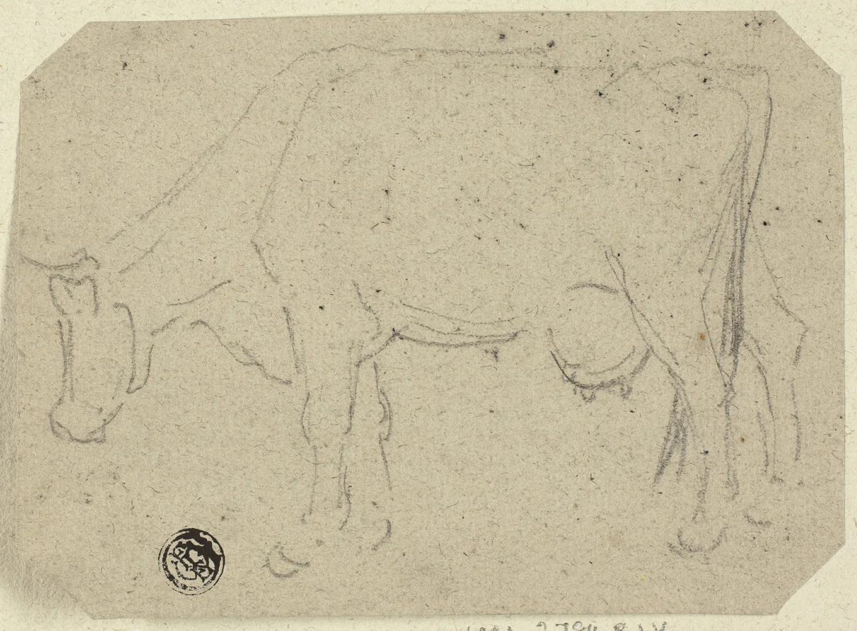 Cow Grazing (recto); Head of an Animal (verso) by Unknown Artist, drawing, 1800-1899