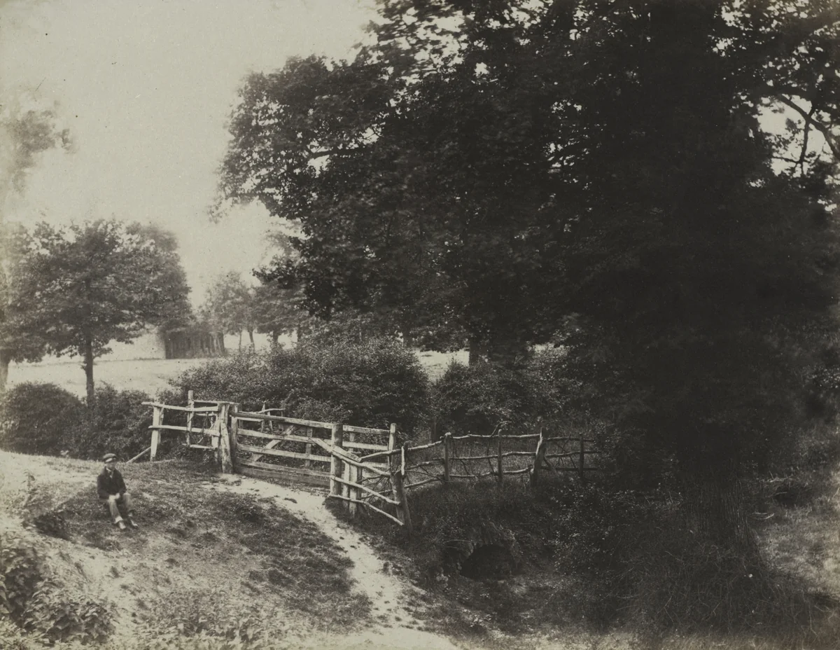 Green Meadows by George Shadbolt, photograph, 1854