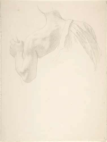 Left Arm and Shoulders of a Man Seen from the Back by Johann Friedrich Overbeck, drawing, 1809-1869