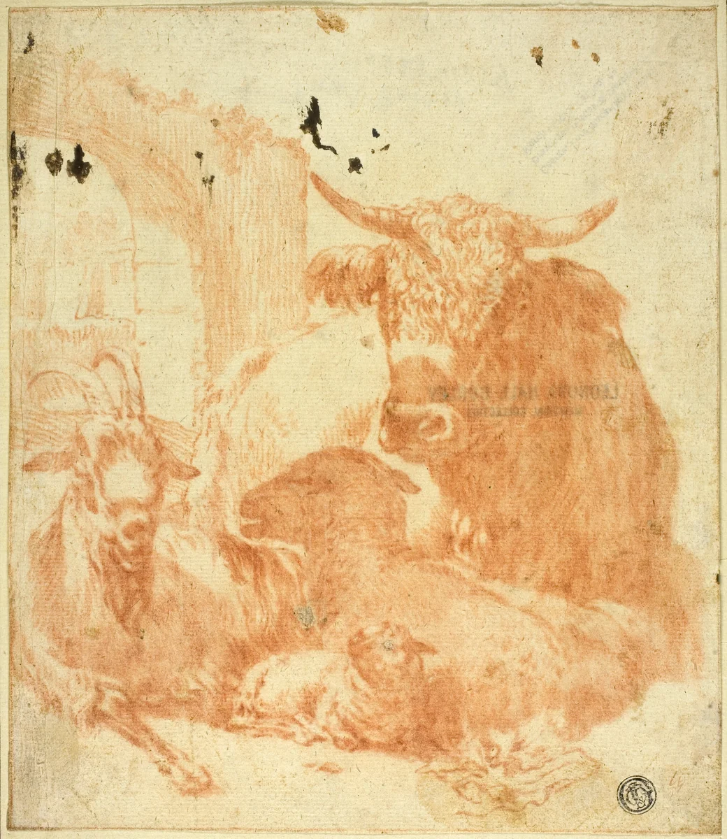 Cow, Goat, Sheep Lying Down in Ruins by Jan Roos
Paulus Potter, drawing, 1611-1638