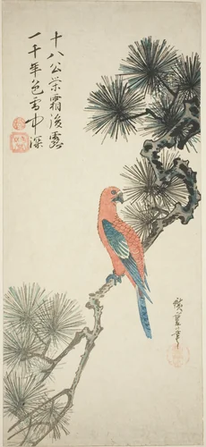 Macaw on a pine branch by Utagawa Hiroshige (歌川広重), print, 1830-1840