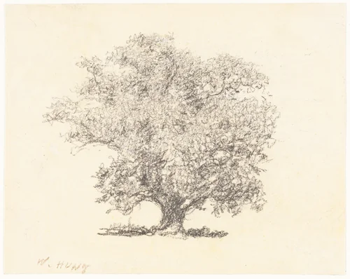 A Tree in Full-Leaf by William Henry Hunt, drawing, 1790-1864