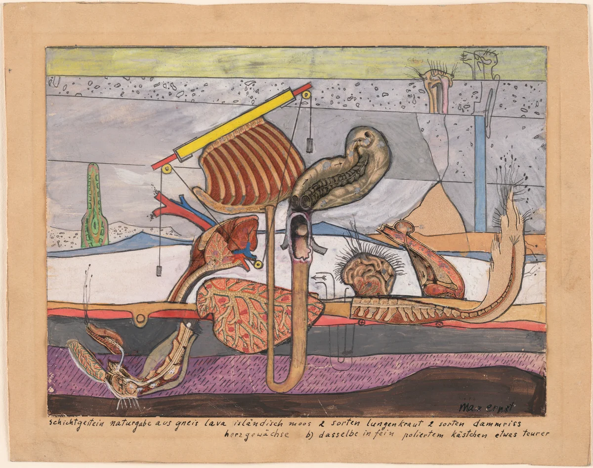 Stratified Rocks, Nature's Gift of Gneiss Lava Iceland Moss 2 kinds of lungwort 2 kinds of ruptures of the perinaeum growths of the heart b) the same thing in a well-polished little box somewhat more expensive (schichtgestein naturgabe aus gneis lava isländisch moos 2 sorten lungenkraut 2 sorten dammriss/herzgewächse b) dasselbe in fein poliertem kästchen etwas teurer) by Max Ernst, drawing, 1920