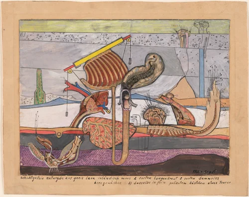 Stratified Rocks, Nature's Gift of Gneiss Lava Iceland Moss 2 kinds of lungwort 2 kinds of ruptures of the perinaeum growths of the heart b) the same thing in a well-polished little box somewhat more expensive (schichtgestein naturgabe aus gneis lava isländisch moos 2 sorten lungenkraut 2 sorten dammriss/herzgewächse b) dasselbe in fein poliertem kästchen etwas teurer) by Max Ernst, drawing, 1920