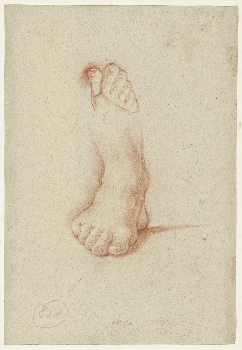 Twee studies van een voet by Domenichino, drawing, 1591-1641