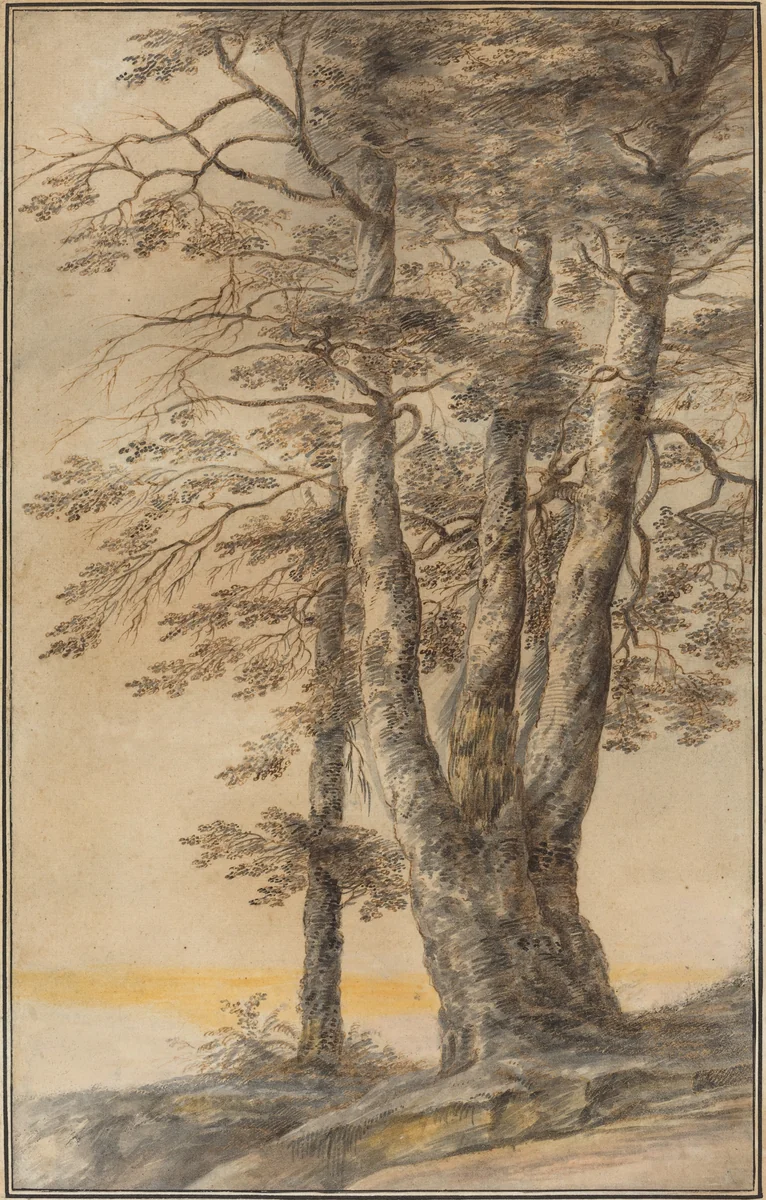 Study of Trees by Lucas van Uden, drawing, 1640-1649