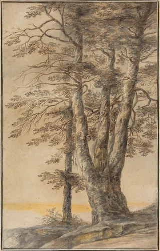 Study of Trees by Lucas van Uden, drawing, 1640-1649
