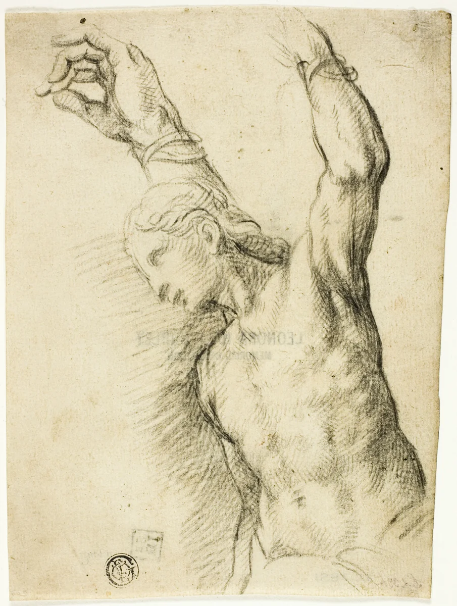 Saint Sebastian by Vincenzo Campi, drawing, 1580-1589