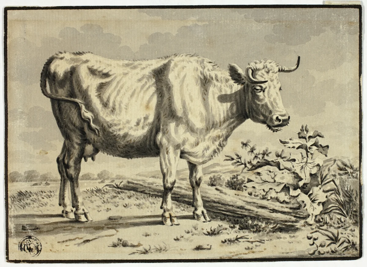 Cow by Karel Dujardin, drawing, 1642-1678
