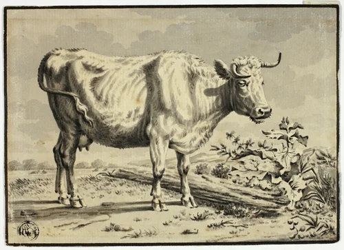 Cow by Karel Dujardin, drawing, 1642-1678