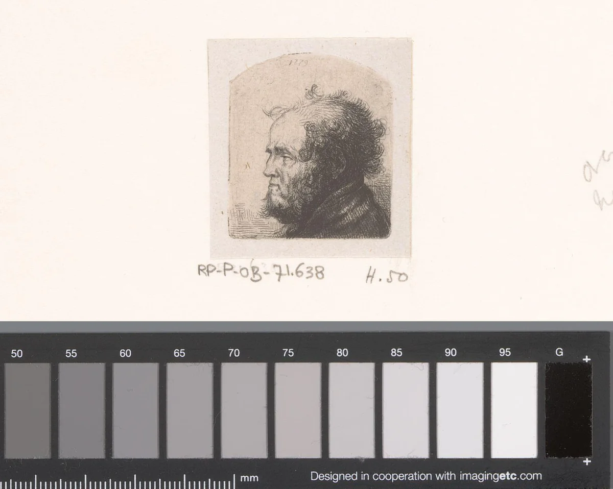 Kop van man met krullend haar en baard by Jean Pierre Norblin de la Gourdaine, print, 1779