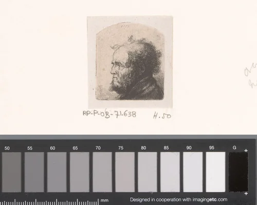 Kop van man met krullend haar en baard by Jean Pierre Norblin de la Gourdaine, print, 1779