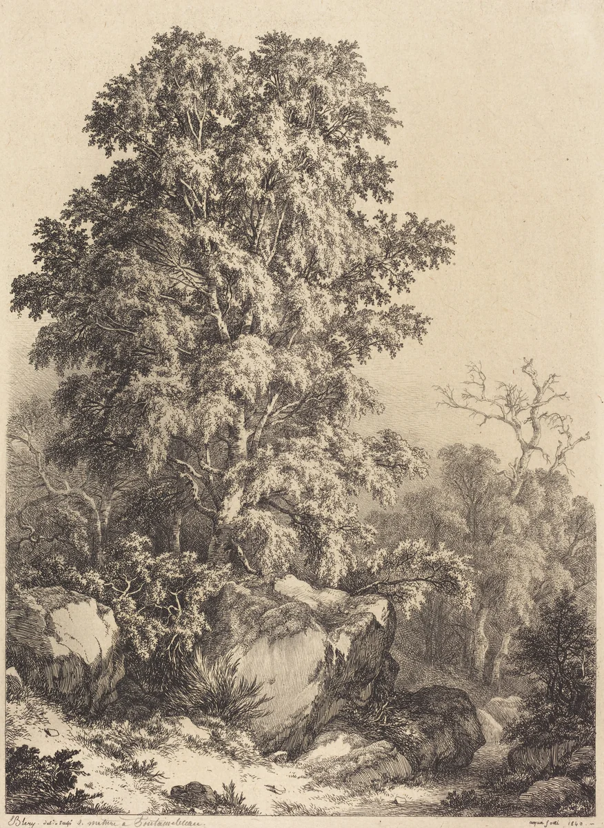 Beech Grove by Eugène Bléry, portfolio, 1840