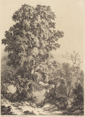 Beech Grove by Eugène Bléry, portfolio, 1840