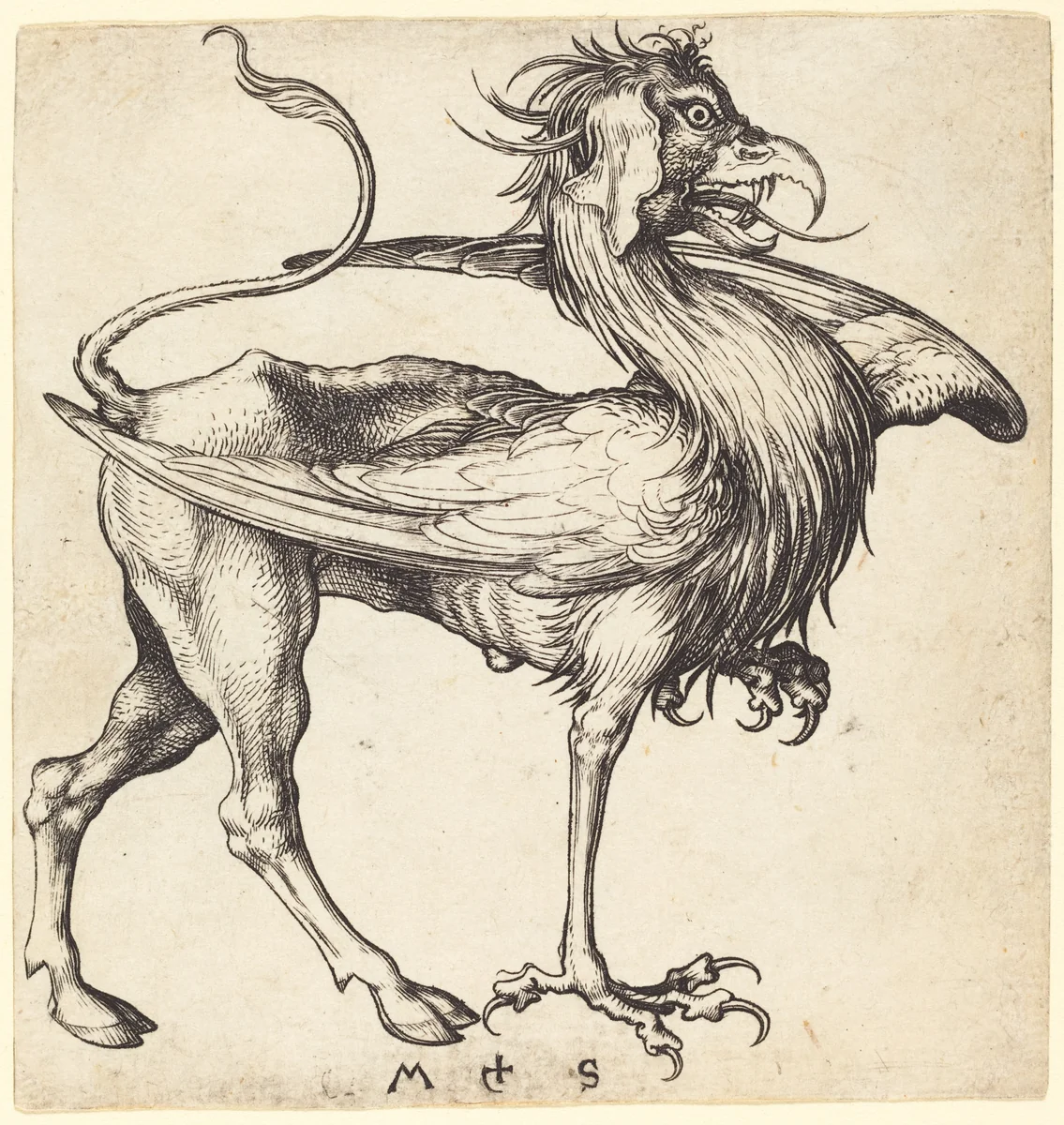The Griffin by Martin Schongauer, print, 1480-1490