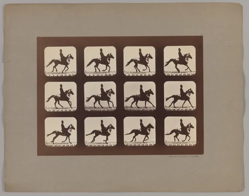 Attitudes of Animals in Motion by Eadweard Muybridge, photograph, 1879
