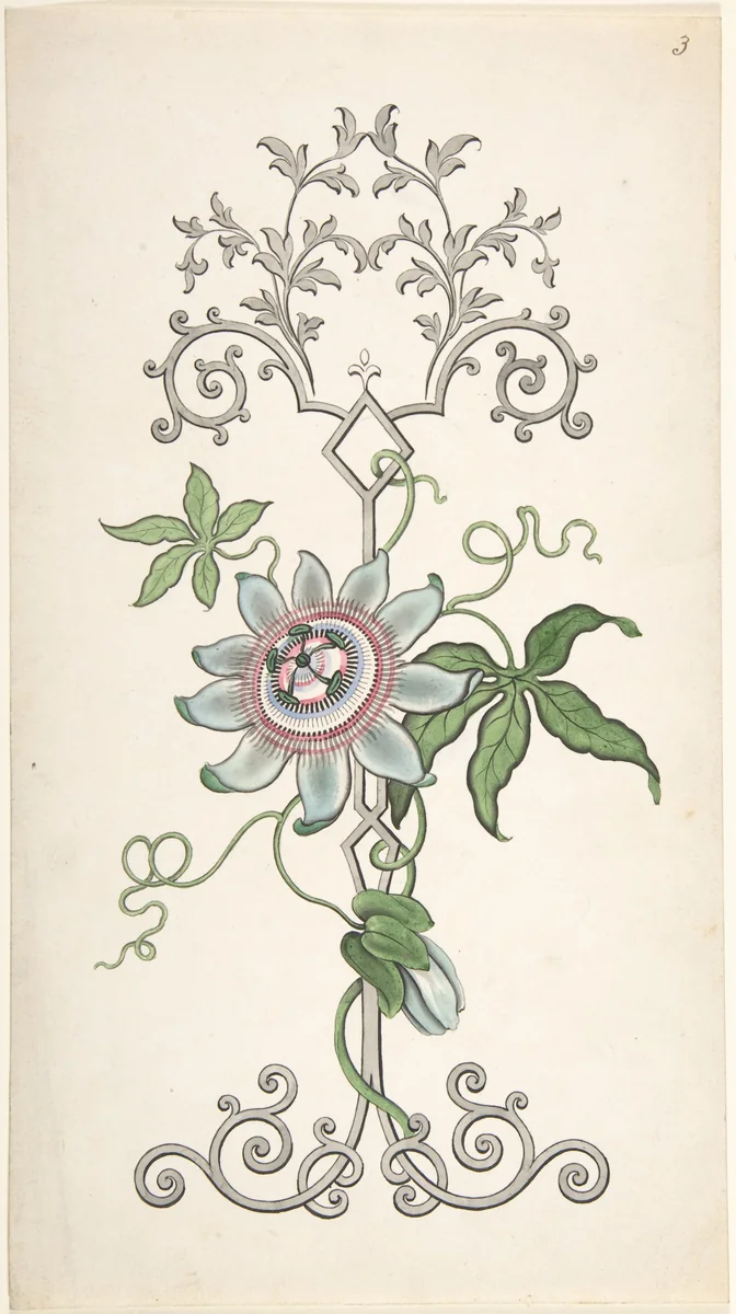 Design for Panel Decoration Centered on a Passion Flower by J. Hulme, drawing, 1828-1840