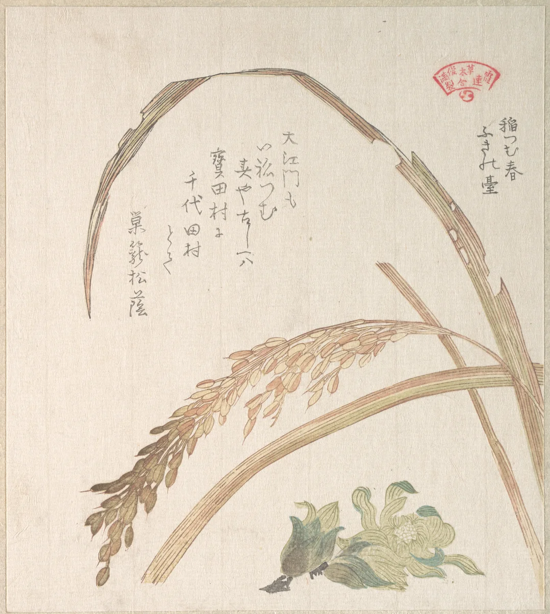Rice Plant and Butter-Burs by Kubo Shunman (窪俊満), print, 1800-1899