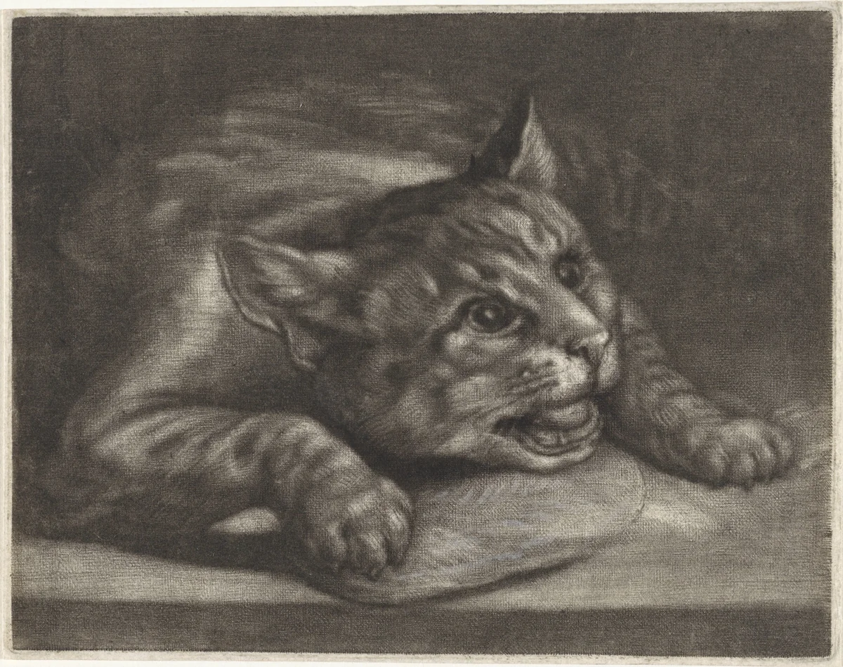 Kat met een vis by Wallerant Vaillant, print, 1658-1677