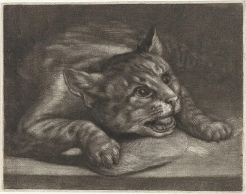 Kat met een vis by Wallerant Vaillant, print, 1658-1677